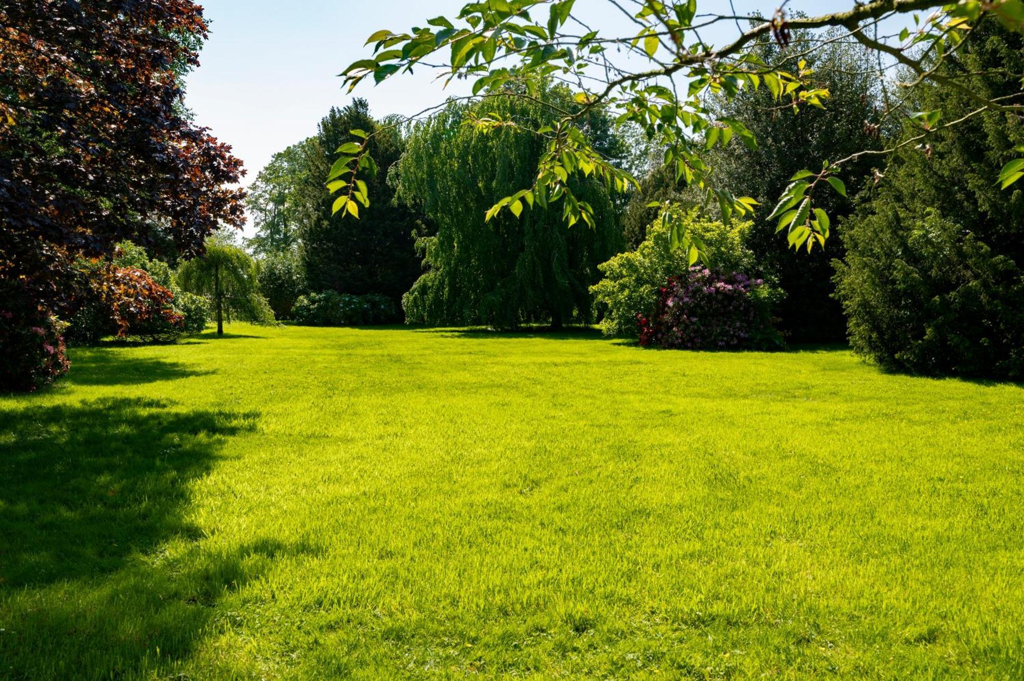 Gite L'Orangerie Du Chateau D'Émalleville Exteriör bild