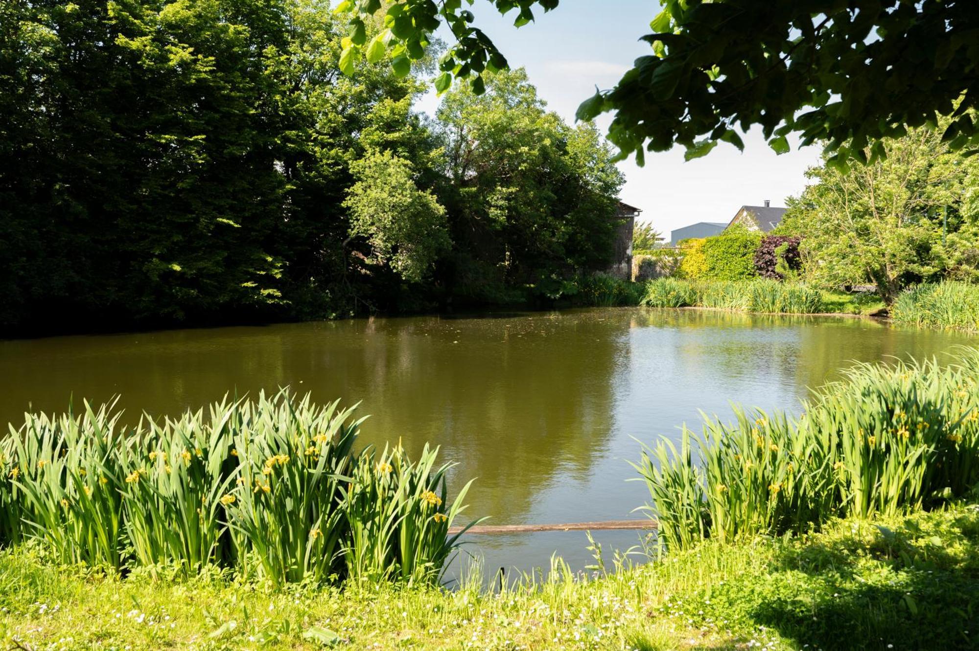 Gite L'Orangerie Du Chateau D'Émalleville Exteriör bild